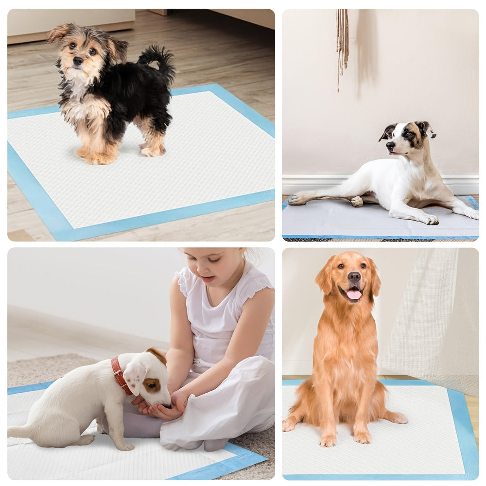 Extra Large Wee Wee Pads Super Absorbent Dog Cat Disposable Diaper Extra Large Thick Deodorant Puppy Pet Urine Diaper Pad Mat Cat Litter Toilet Dogs Products, Dog/Cat Pee Pads 60X60Cm Blue Pink
