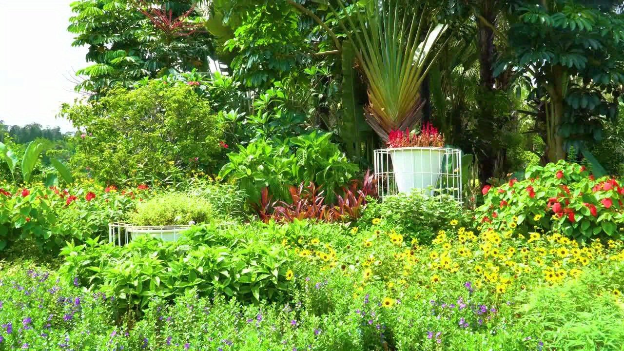 Solar Fountain Pump with Solar Pannel with 11 Interchangeable Nozzles - Perfect for Bird Baths, Ponds, Swimming Pools & Outdoor Spaces