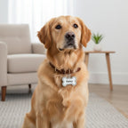 Pet ID Tag detail view 10 for Australian shoppers