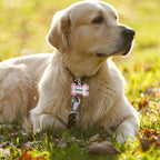 Pet ID Tag detail view 14 for Australian shoppers