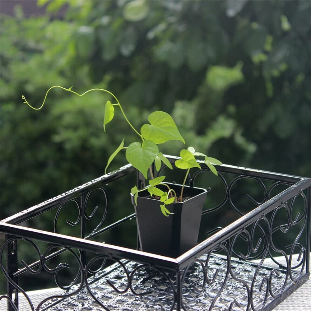 100-Pack Plastic Seedling Pots product detail 6