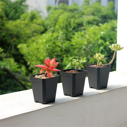 100-Pack Plastic Seedling Pots product detail 2
