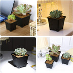 100-Pack Plastic Seedling Pots product detail 7