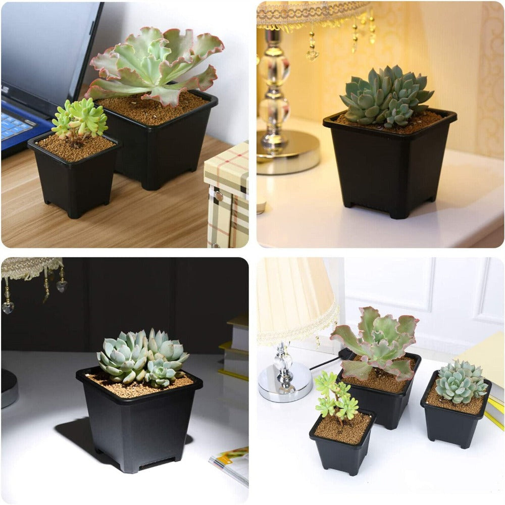 100-Pack Plastic Seedling Pots product detail 7