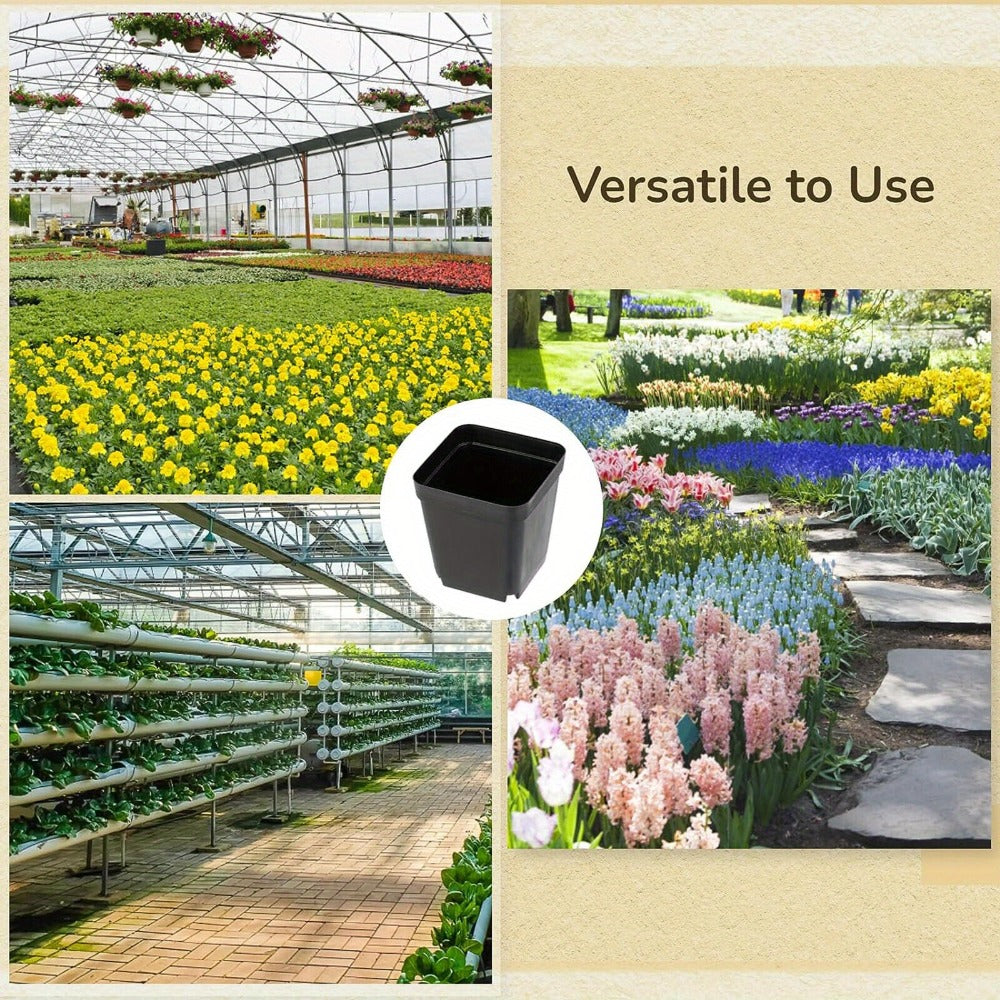 100-Pack Plastic Seedling Pots product detail 9