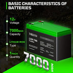 LiFePO4 Deep-Cycle Battery detail view 4 for Australian shoppers