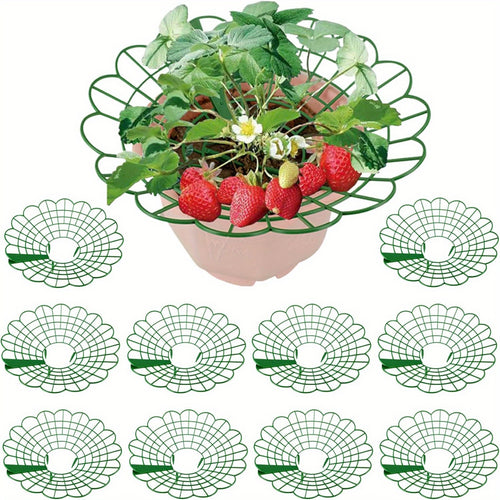 Strawberry Supports Strawberry Cage - 10/20Pcs with 3 Sturdy Legs - Weather Resistant Strawberry Protectors - Plastic Strawberry Plant Support for Keeping Clean Prevent Rotted ＆ Promote Air Circulation