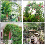 Metal Garden Arch product detail 10