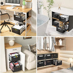 2-Piece Pull-Out Cabinet Organiser product detail 7