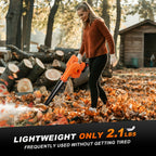 Cordless Leaf Blower and Vacuum detail view 5 for Australian shoppers