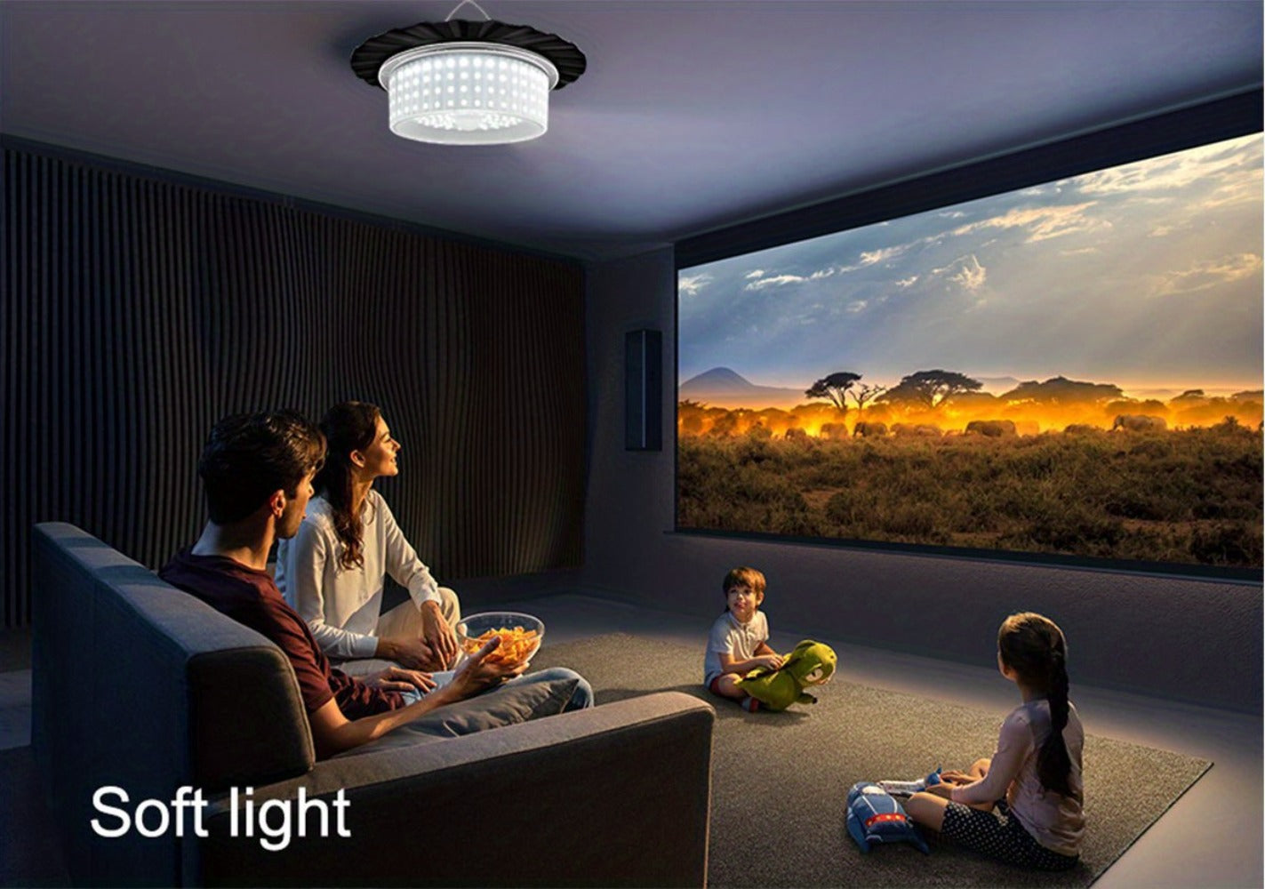 Solar Shed Light product detail 20
