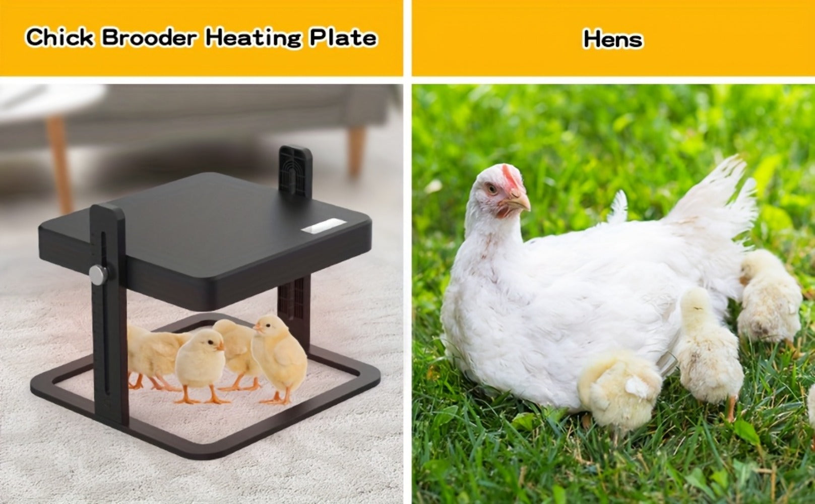 Adjustable Chicken Brooder Heating Plate detail view 9 for Australian shoppers