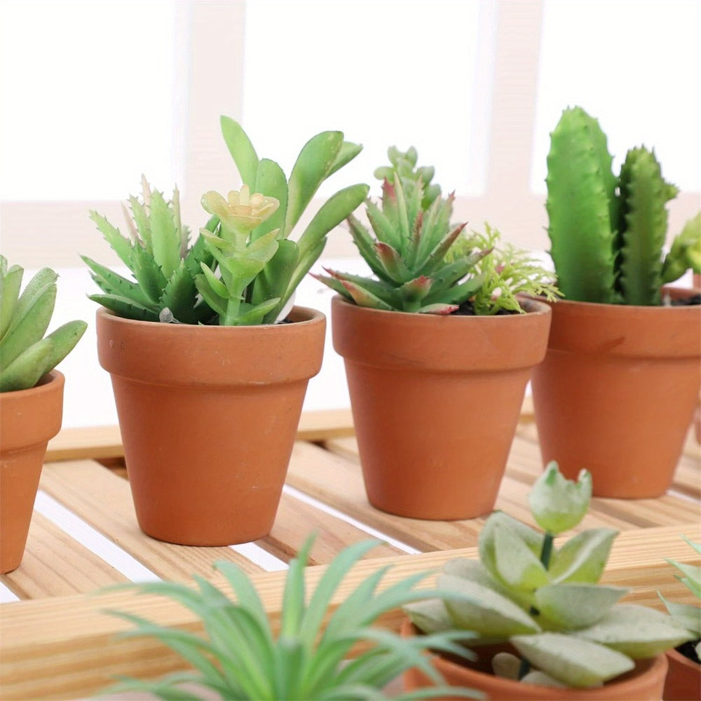 -Piece Terracotta Plant Pots product detail 8