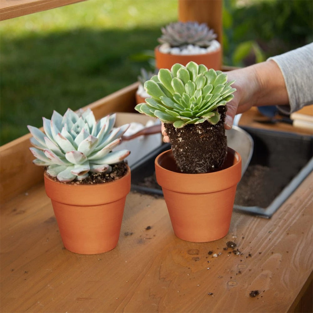 -Piece Terracotta Plant Pots product detail 10