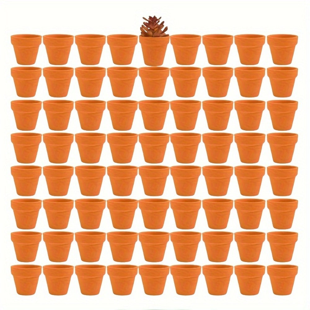 -Piece Terracotta Plant Pots product detail 13