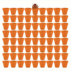 -Piece Terracotta Plant Pots product detail 13