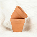 -Piece Terracotta Plant Pots product detail 14