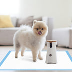40-Piece Pet Training Pad Pack – Practical design – additional product view 10