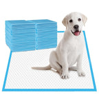 40-Piece Pet Training Pad Pack – Practical design – additional product view 17