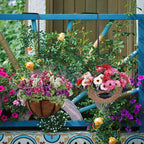 4pcs Garden Fence Hooks product detail 10