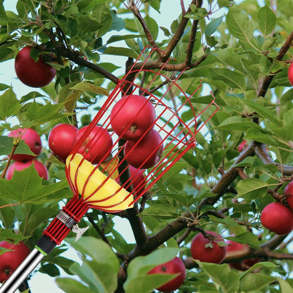 243.84cm Fruit Picker, Adjustable Stainless Steel Fruit Picker Pole with Basket, Fruit Picker Tool for Apple Mango Pear Orange Avocado Lemon Fruit Picking