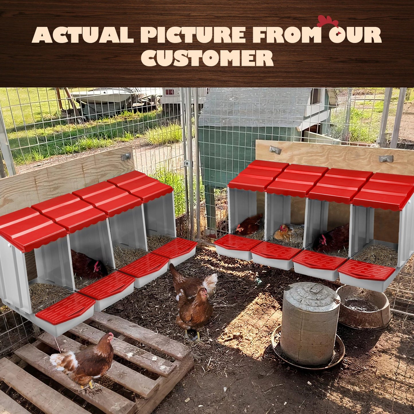 Maxkon Chicken Nesting Box 4 Hole Chook Hen Poultry Roll Away Out Laying Boxes Inside Outside Hutch Modular House Coop Egg Nest Lay Perch Brooder Plastic