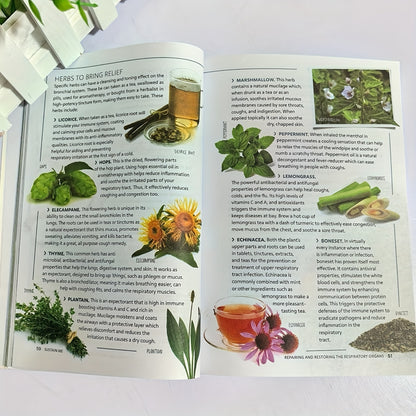 Sustain Me by Barbara O'Neill, a Paperback That Serves As a Thorough Resource on Natural Treatments, Herbal Therapies, And Holistic Wellness