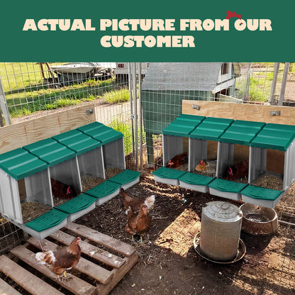 Maxkon Chicken Nesting Box 4 Hole Chook Hen Poultry Roll Away Out Laying Boxes Inside Outside Hutch Modular House Coop Egg Nest Lay Perch Brooder Plastic