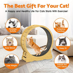 Cat Exercise Wheel detail view 4 for Australian shoppers