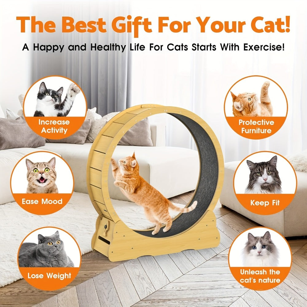 Cat Exercise Wheel detail view 4 for Australian shoppers