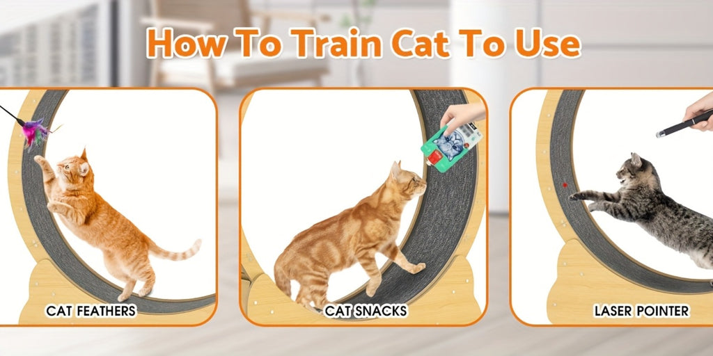 Cat Exercise Wheel detail view 13 for Australian shoppers