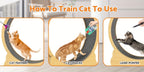 Cat Exercise Wheel detail view 13 for Australian shoppers