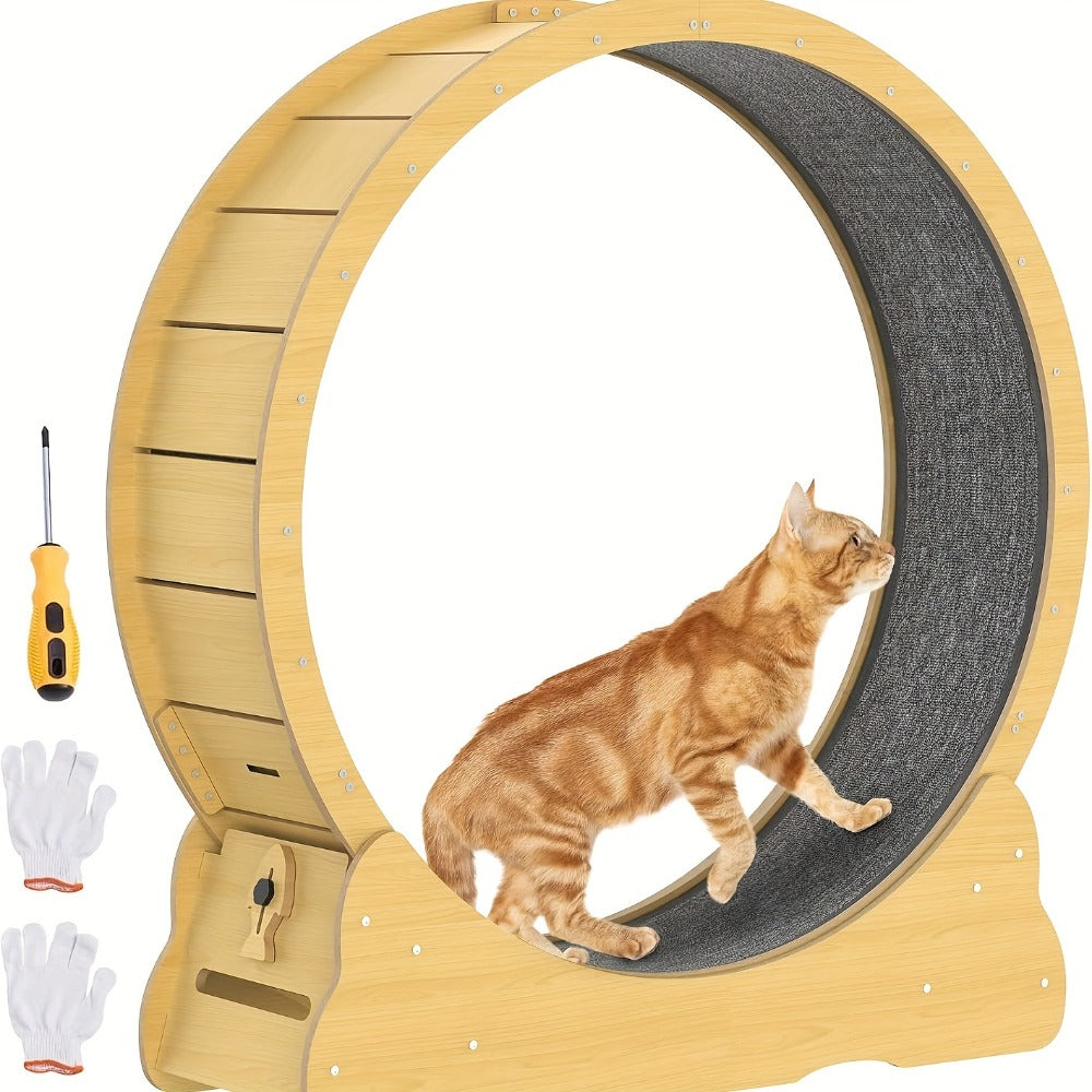 Cat Exercise Wheel main product view for Australian shoppers