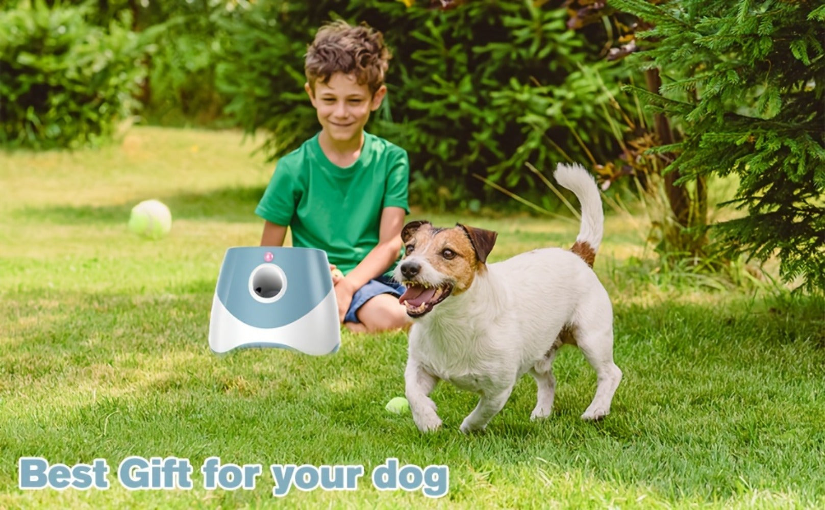 Dog Ball Launcher detail view 14 for Australian shoppers