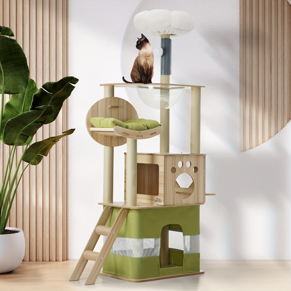 Cat Scratcher main product view for Australian shoppers