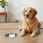 Automatic Anti-Bark Dog Training Collar detail view 8 for Australian shoppers