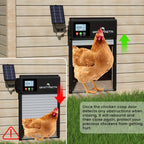 Automatic Chicken Coop Door detail view 5 for Australian shoppers