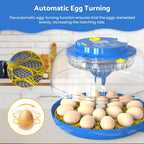 Automatic Egg Incubator detail view 7 for Australian shoppers