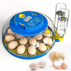 Automatic Egg Incubator main product view for Australian shoppers