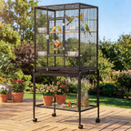Bird Cage main product view for Australian shoppers
