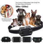 Citronella Anti-Bark Dog Training Collar detail view 4 for Australian shoppers