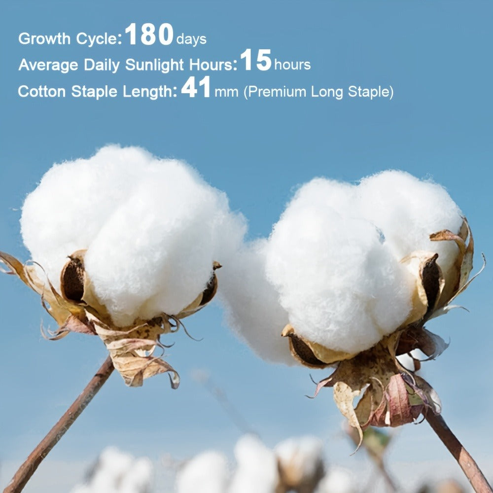 Cotton Bed Sheet Set product detail 2