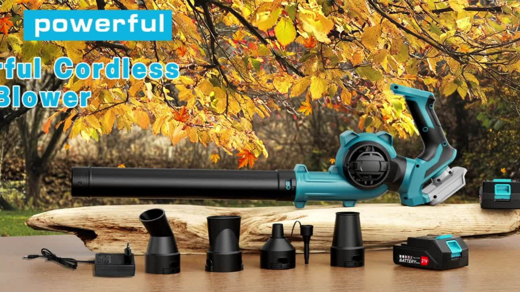 Cordless Leaf Blower detail view 10 for Australian shoppers