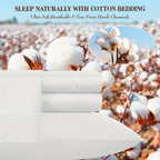 Cotton Bed Sheet Set – Cooling Deep-Pocket Bedding – additional product view 54