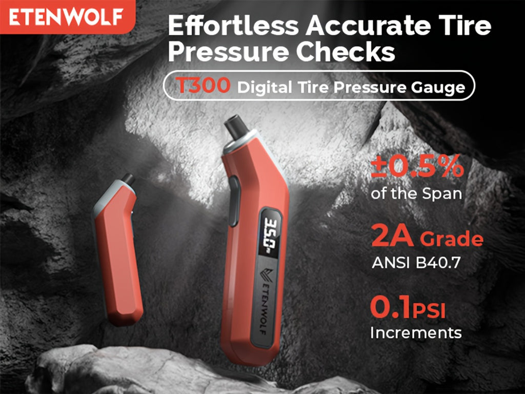 Digital Tyre Pressure Gauge detail view 9 for Australian shoppers
