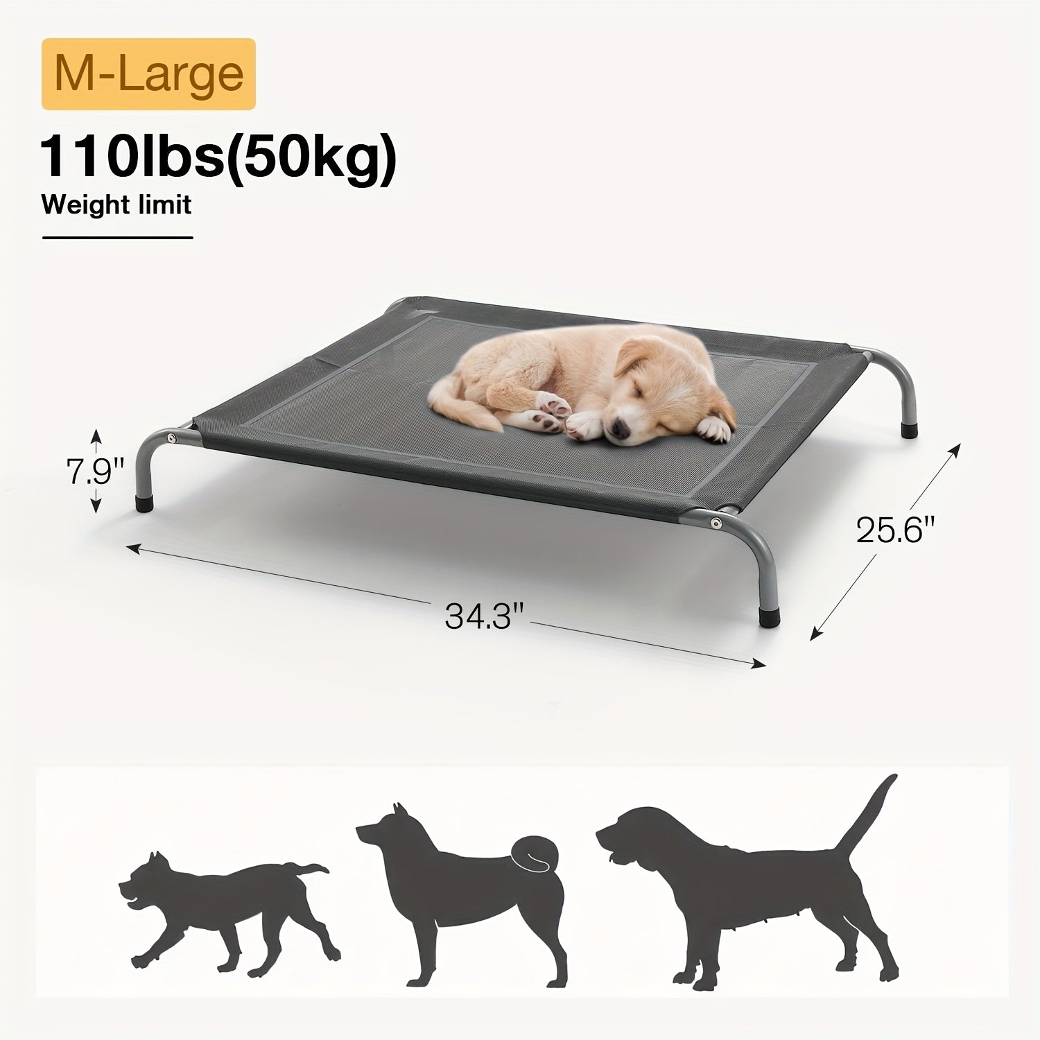Elevated Dog Bed with Bolsters product detail 14