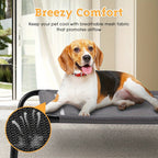 Elevated Dog Bed - Breathable Mesh for Indoor and Outdoor Use – alternate product view