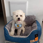 Golden Washable Dog Bed - indoor rest and sleep – close-up product details