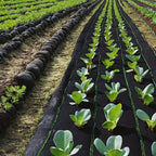 Breathable Weed Control Fabric Roll detail view 7 for Australian shoppers