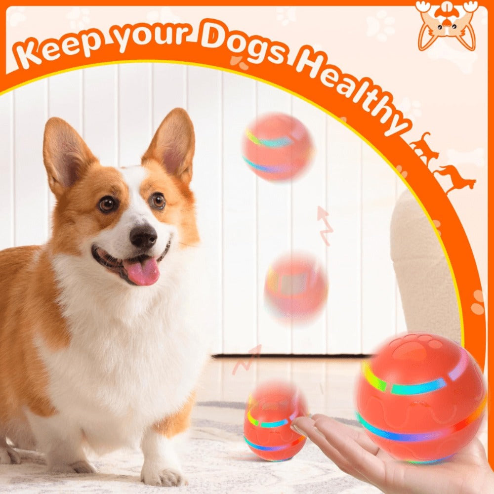 Interactive Pet Toy detail view 6 for Australian shoppers